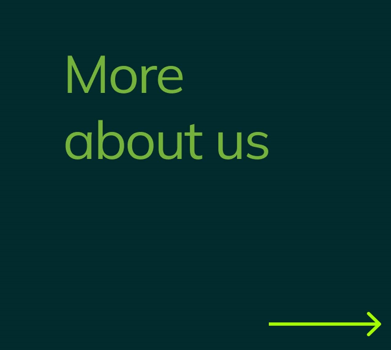 Person Working on Laptop Person Working on Laptop