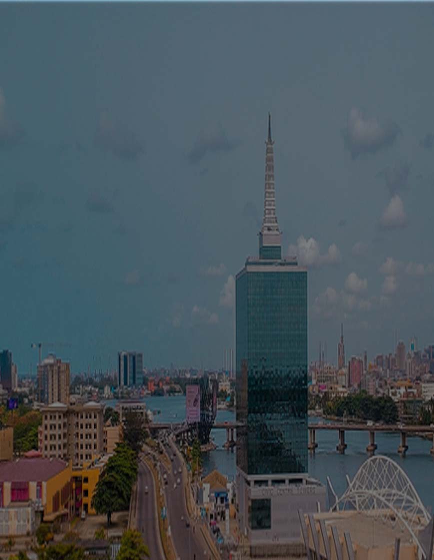 Person Holding Phone Person Holding Phone